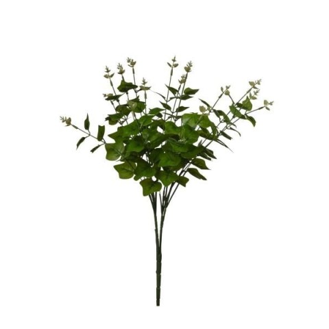 MAZZO EDERA GREEN 50CM